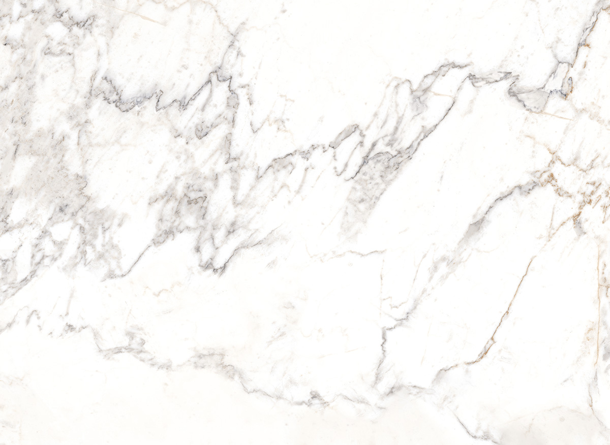 PATAGÔNIA-R73 POLIDO